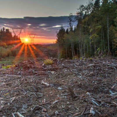 Most protected areas are isolated in a sea of human activities. Image: James Wheeler